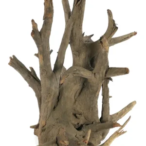 Versand Am Gleichen Tag Sparpaket 2 x Orbit Corbo-Wurzel Aquarium Dekoration 30 - 35 cm S